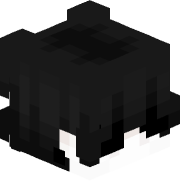voxelpc