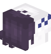 snowvix
