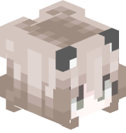 gatosdepopoy