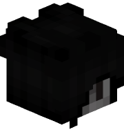 Concixe