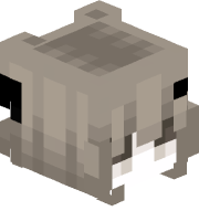 NebulaNomad56