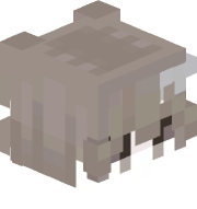 dewinffm