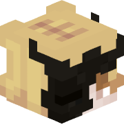 zikzak17