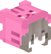 pingplus