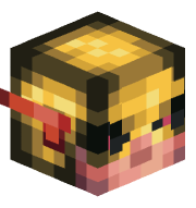 pilot_who