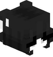 kusukaruto