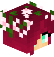 Doelcore