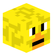 Xander_404