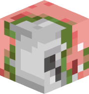 MushkN