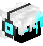 DDayzer