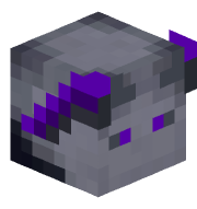 quinntbp