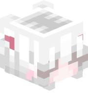R4NDOMPL4YER