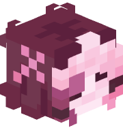 GATO_MURO