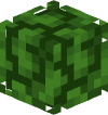 Голова Minecraft — Acacia Leaves