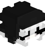 compyxyi