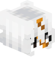Shullker_1