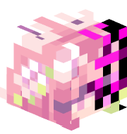 ___P___13