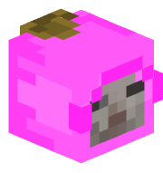 SoyArx