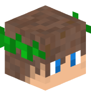Vyquisis