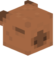 r8bertt