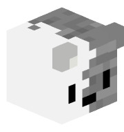 Danilo_4610