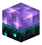 xVoid879