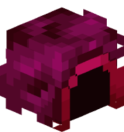 Antclasch