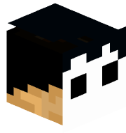 coincoin138