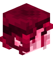 c1ce