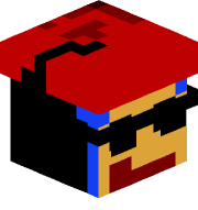 _sudo11