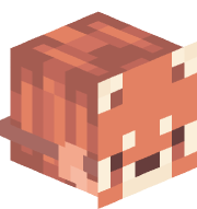 Malkas02