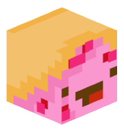 DailyDoseDonut