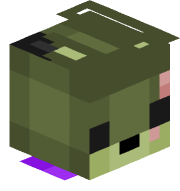 Flage41