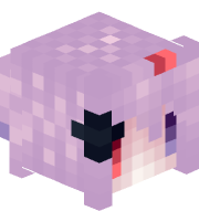 vxds_Skiwa