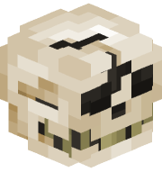 BonesXT