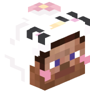 ZapatoSs_
