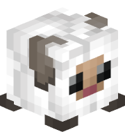 White Sheep Skin