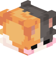 Miitsuuuuu