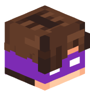TheSkyBattler