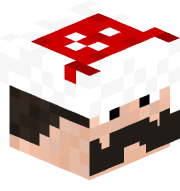 SirMcSus