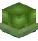 Dwarf Turtle Shelmet