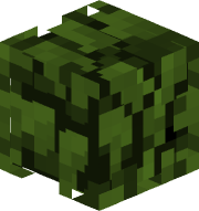 poobaluu