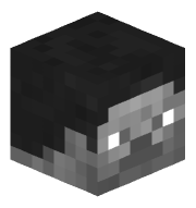 7pp7