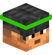 GrassGrassBlock