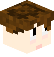 petcat24