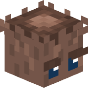 rootq