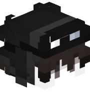 blameinhim