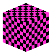 erez19