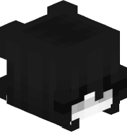 _sebss_