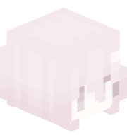 birdbloxxe